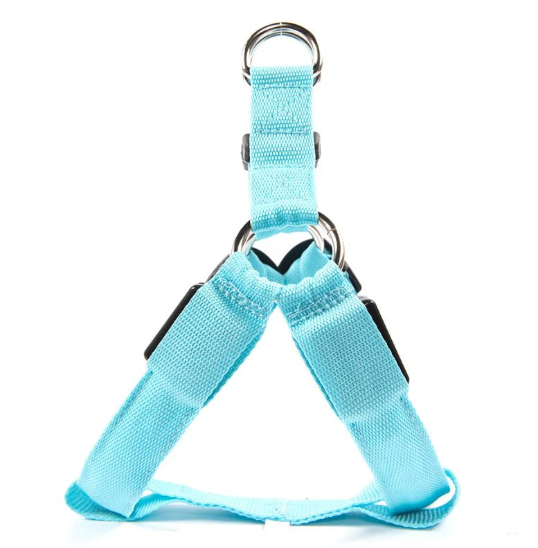 Dachshund Harness