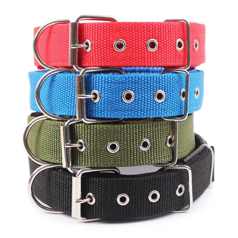 Dog Collars