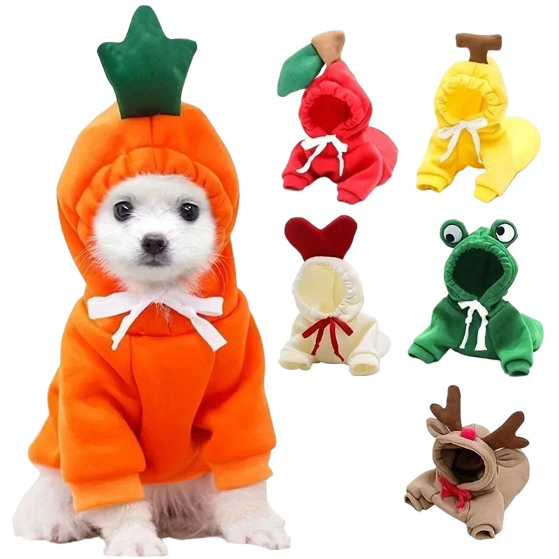 Pomeranian Supplies