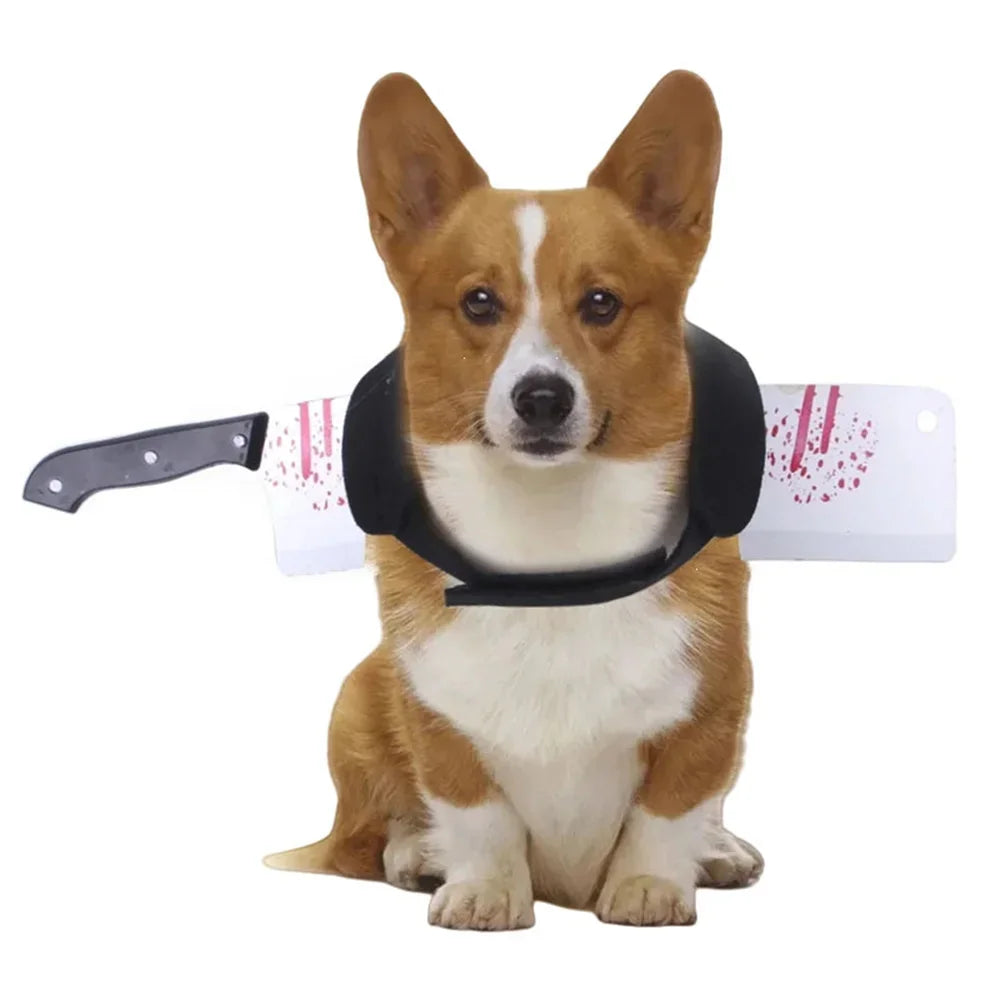 Corgi Supplies