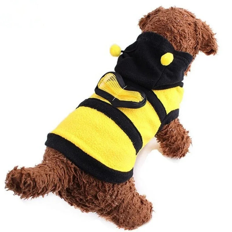 Toy Poodle Supplies
