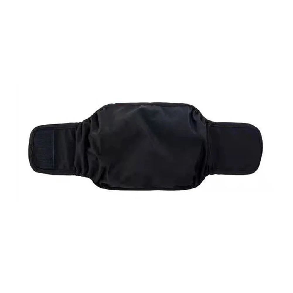 Dachshund Supplies