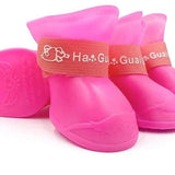Dog Shoes