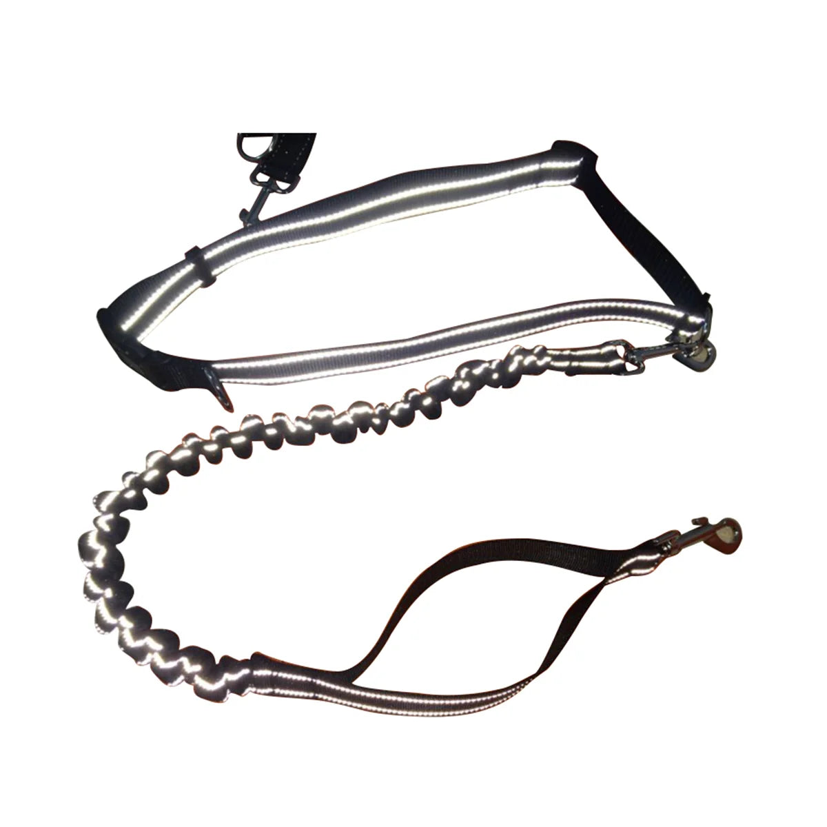 Canicross Equipment