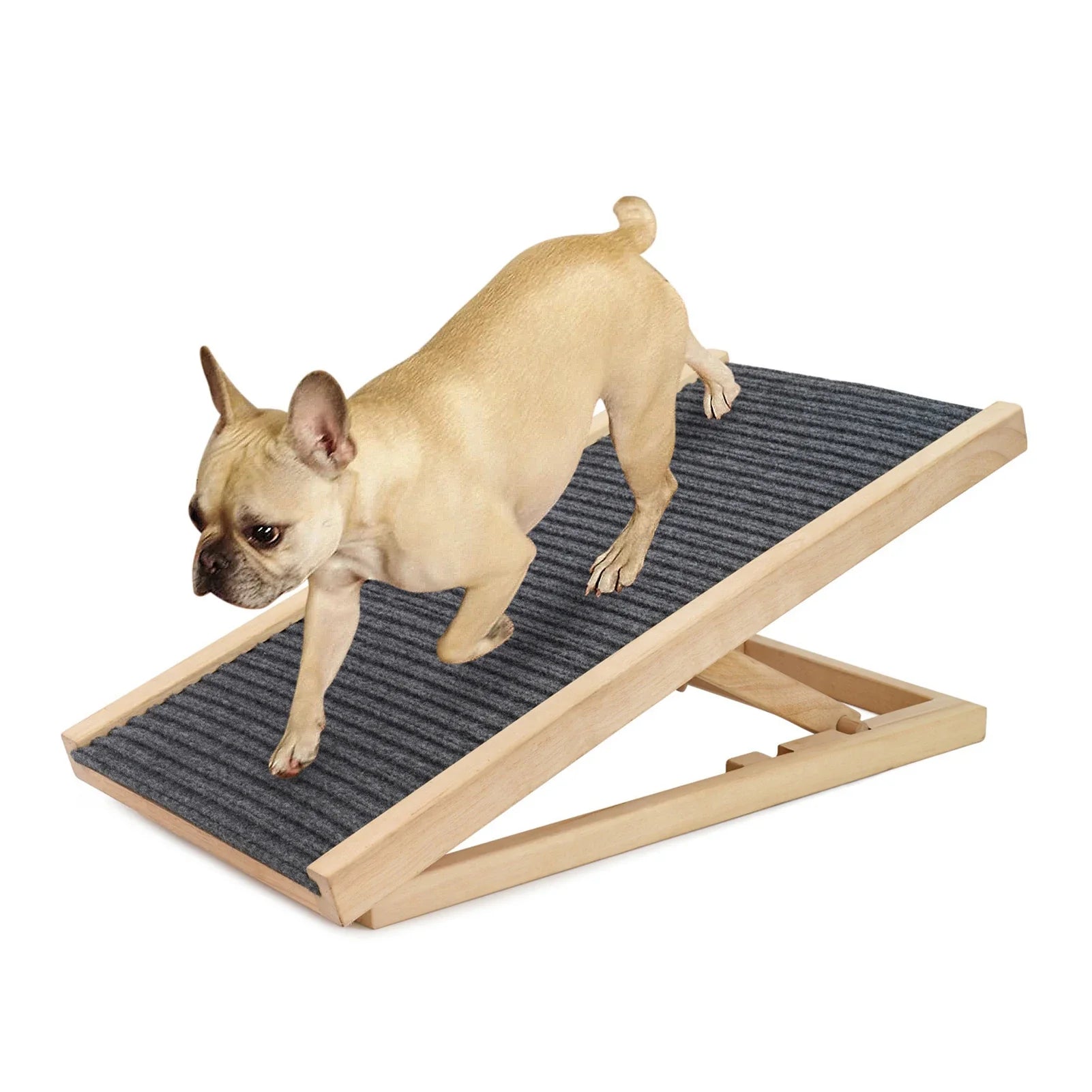 Dog Ramps and Pet Steps