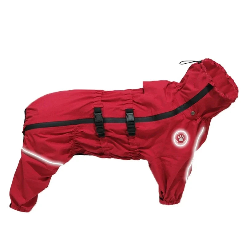 Dog Raincoats and Winter Coats