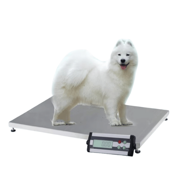 Large Pet Weight Scale