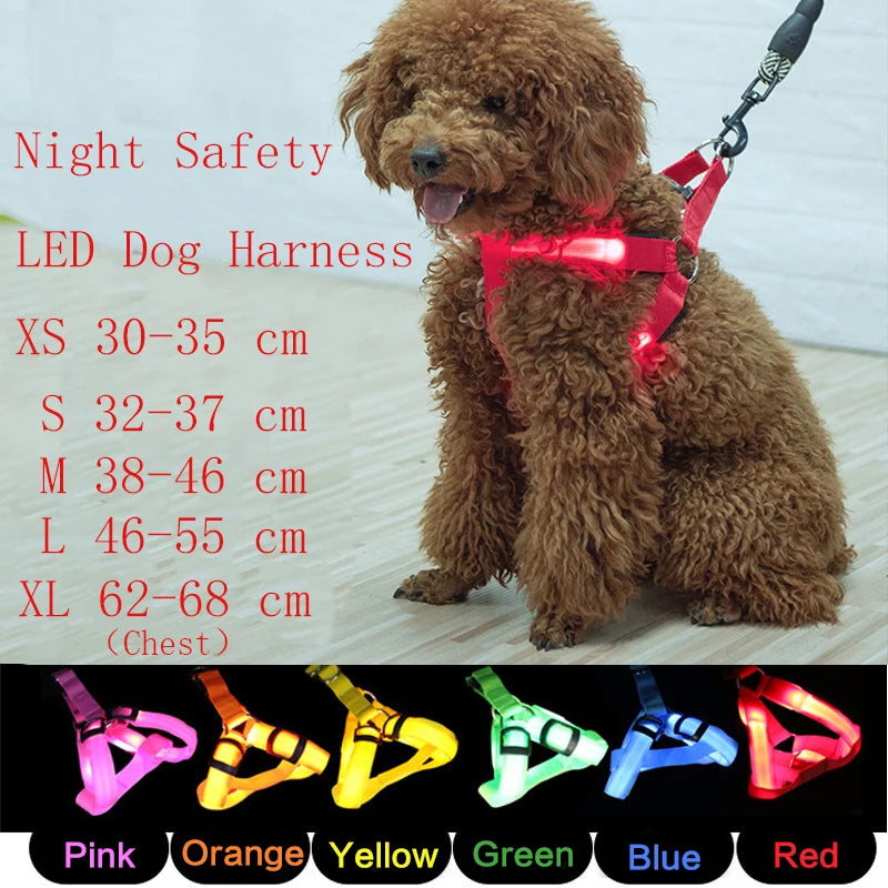 Night Light Up Luminous Dog Harness