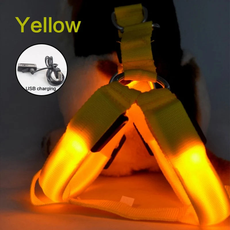 Night Light Up Luminous Dog Harness