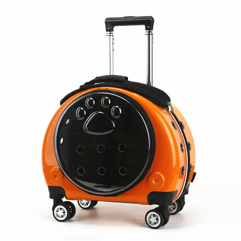 Portable Transparent Trolley Case