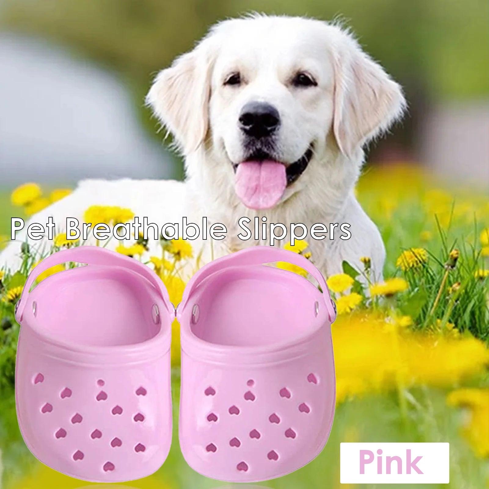 Colourful Dog Crocs