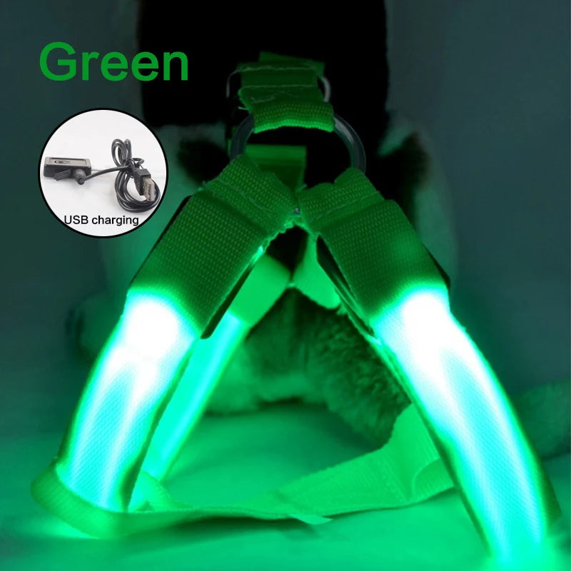 Night Light Up Luminous Dog Harness