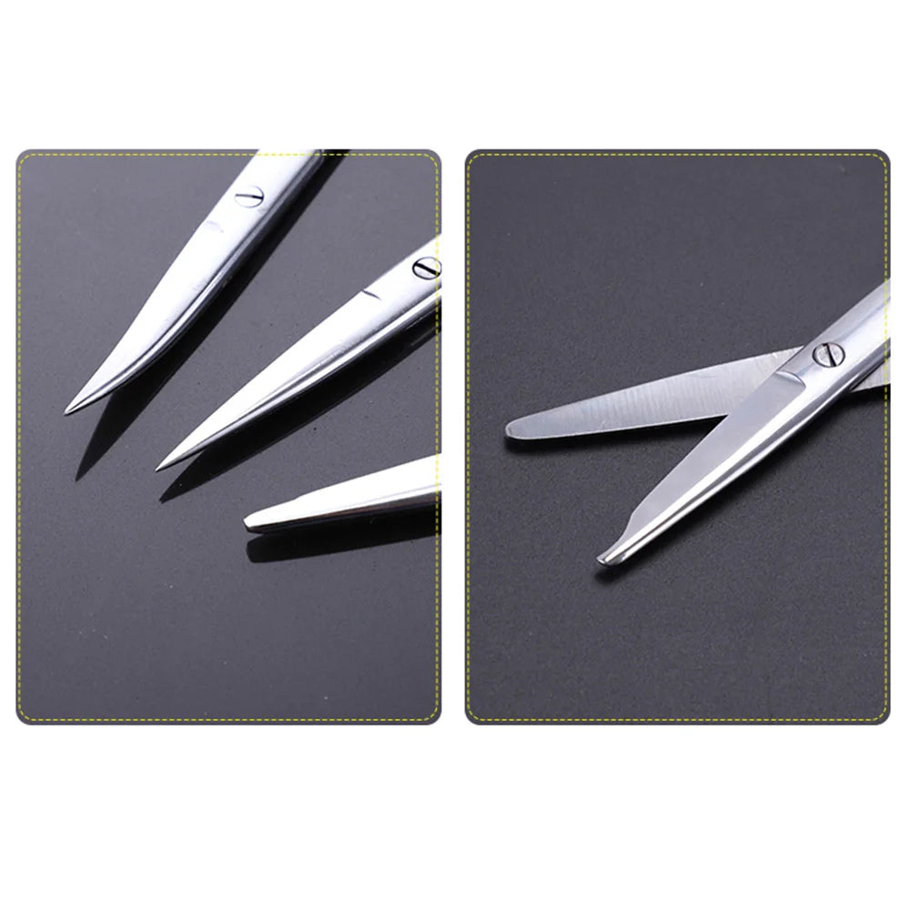 Stainless Steel Scissors with Straight and Curved Tips