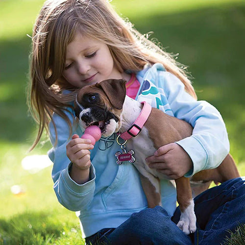 Second look at the Natural Teething Rubber Dog Chew Toy (Copy)