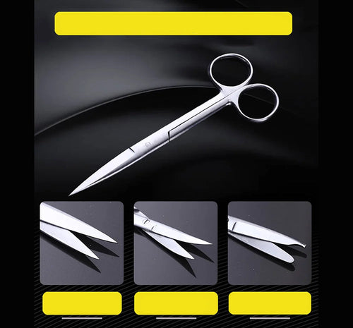 Stainless Steel Scissors with Straight and Curved Tips