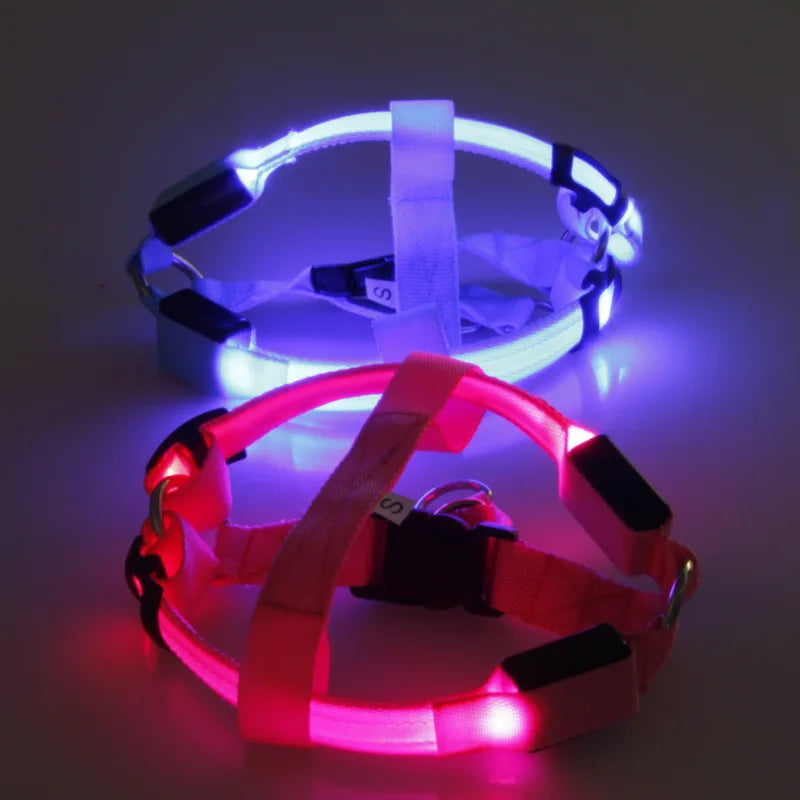 Night Light Up Luminous Dog Harness