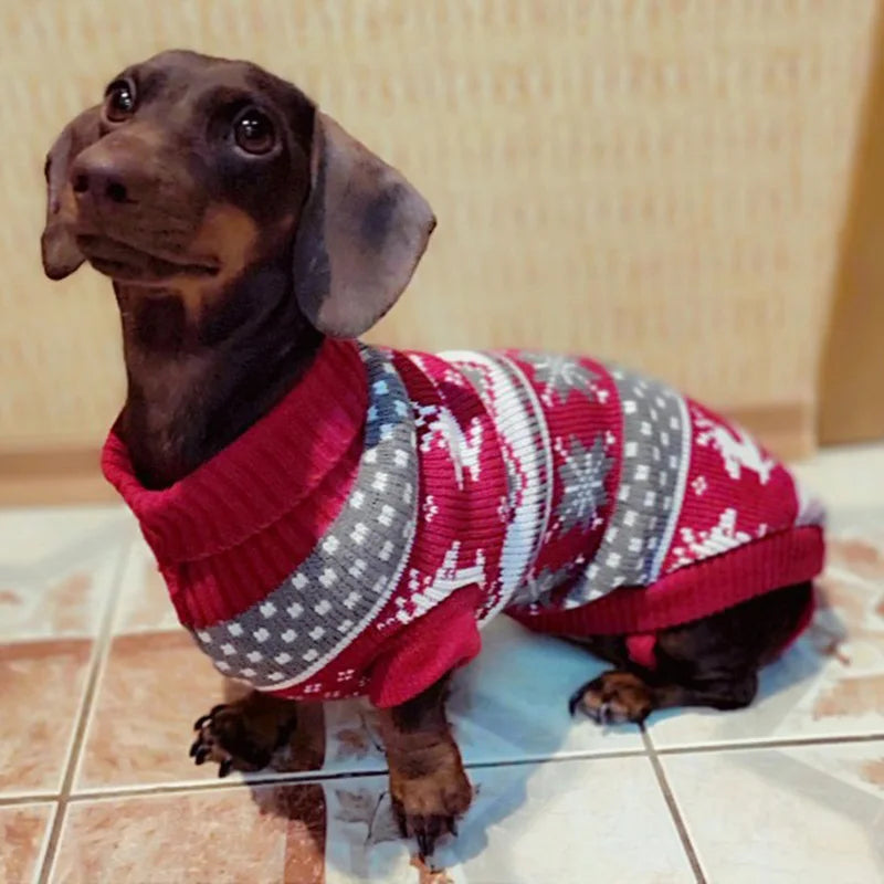 Winter Pet Sweater