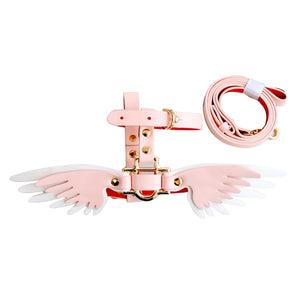 Adjustable Wing Collar & Leash Set for Pets - RPBA Shop