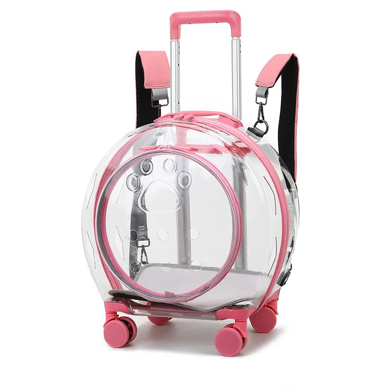 Portable Transparent Trolley Case