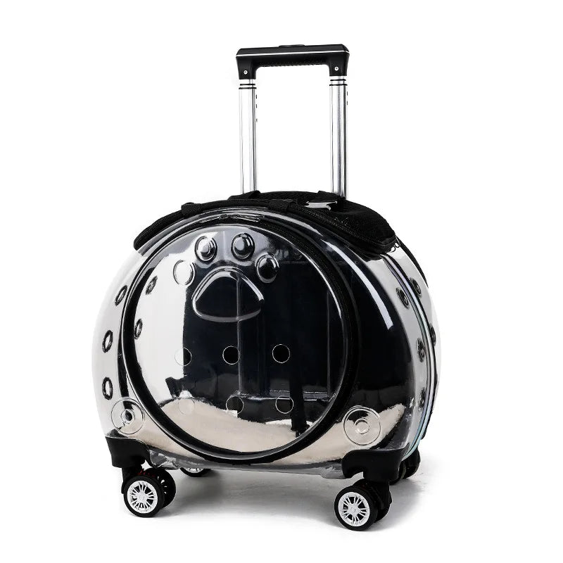 Portable Transparent Trolley Case