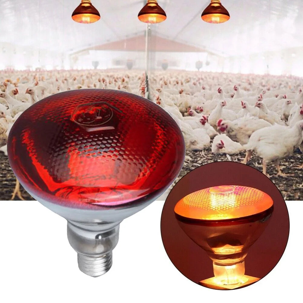 250w Infrared Heat Bulb