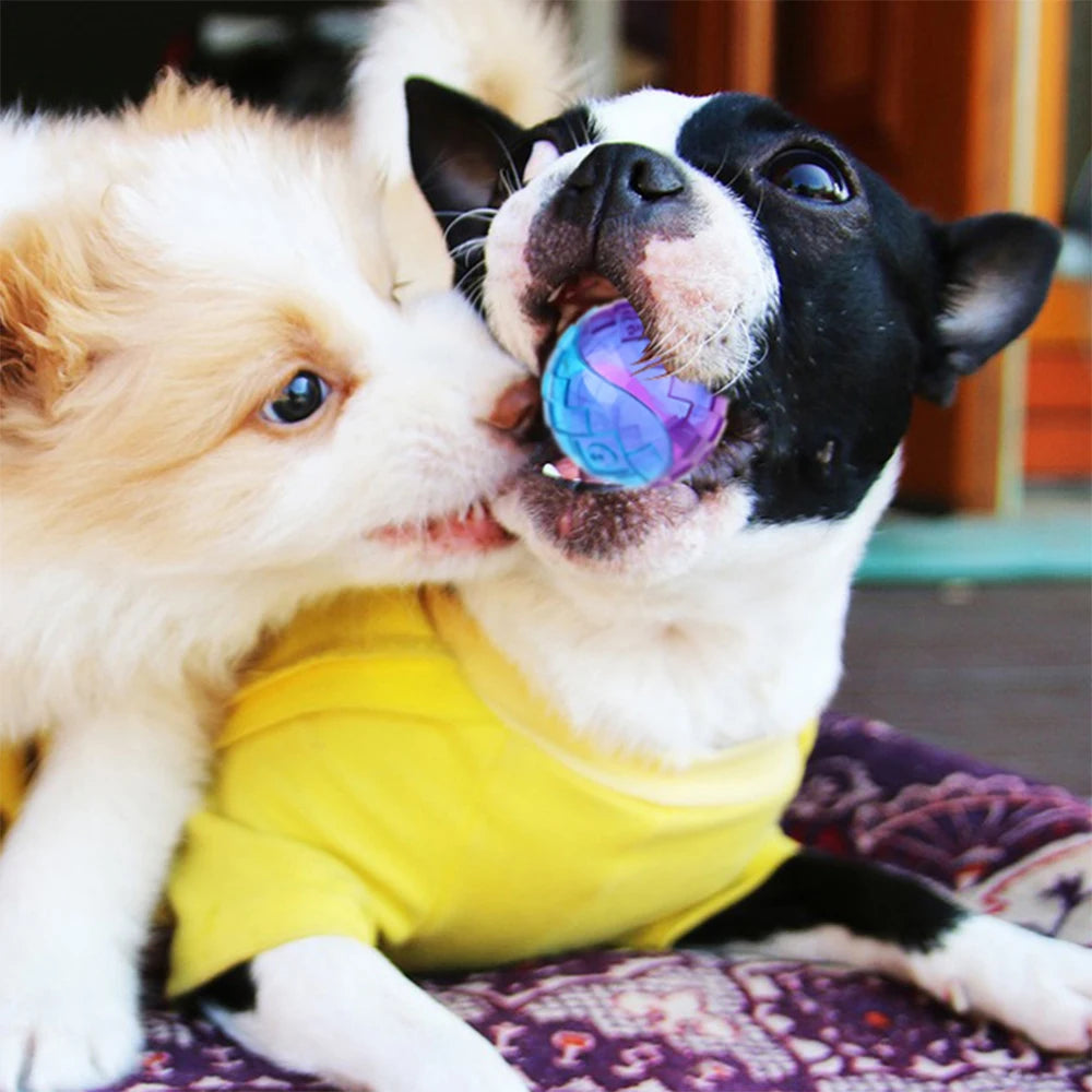 Squeaky Rubber Ball Dog Chew Toy