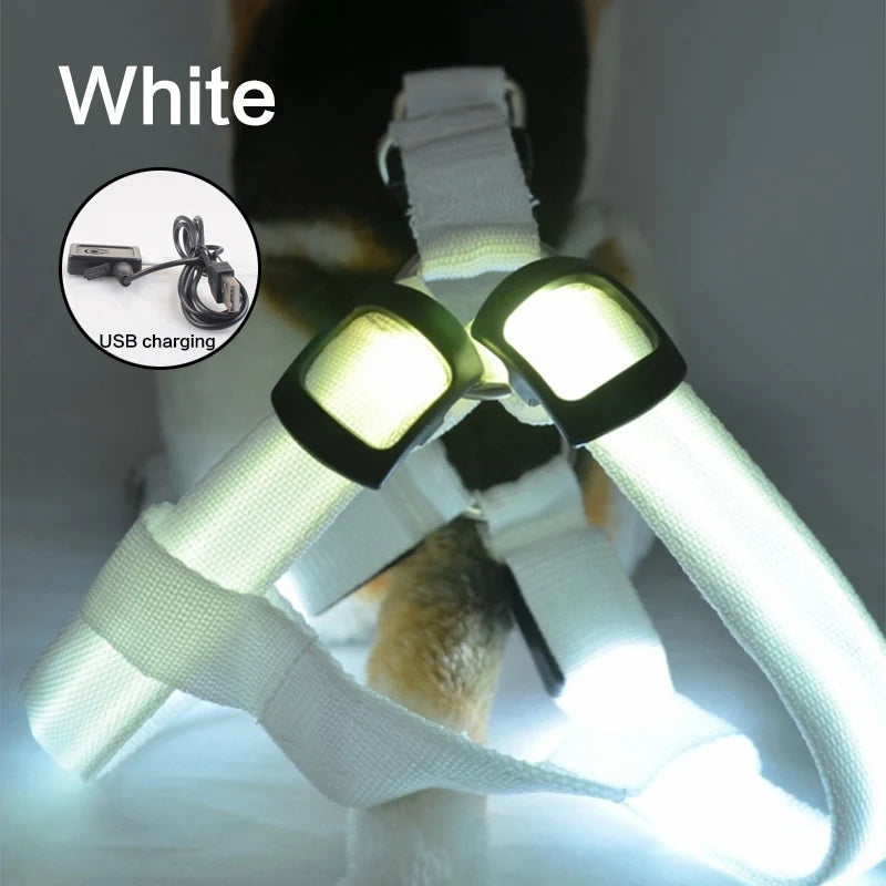 Night Light Up Luminous Dog Harness