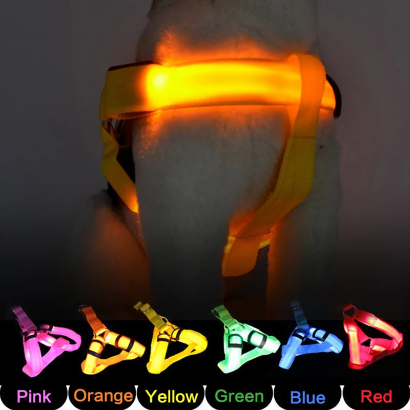 Night Light Up Luminous Dog Harness