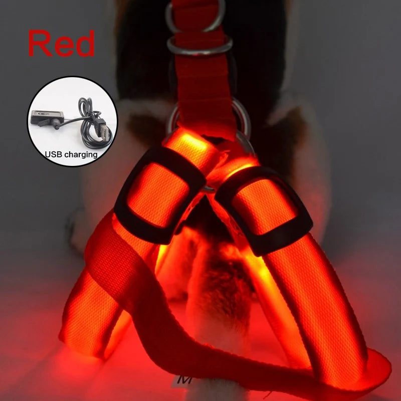 Night Light Up Luminous Dog Harness