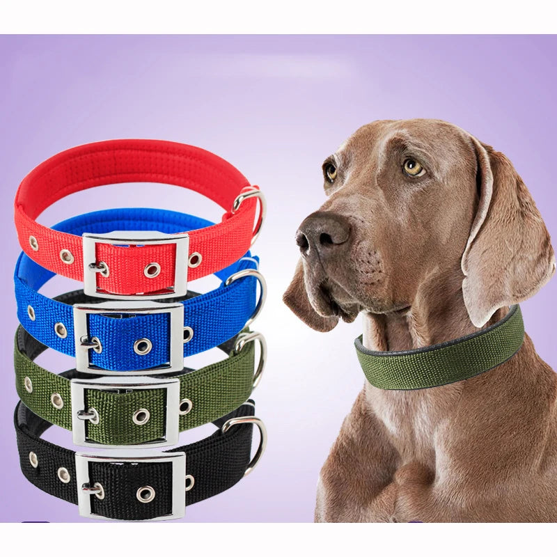 Solid Nylon Dog Collar
