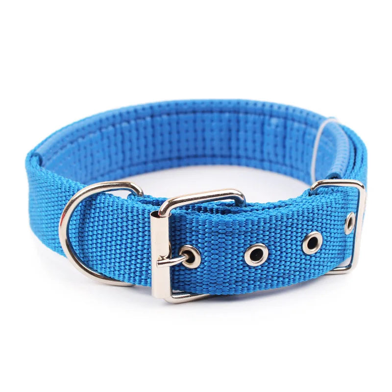 Solid Nylon Dog Collar
