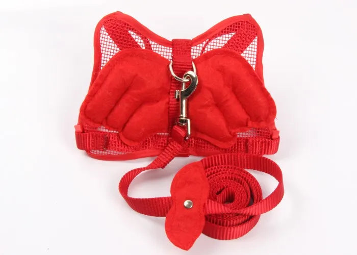 Angel Wing Dog Harness & Leash Set