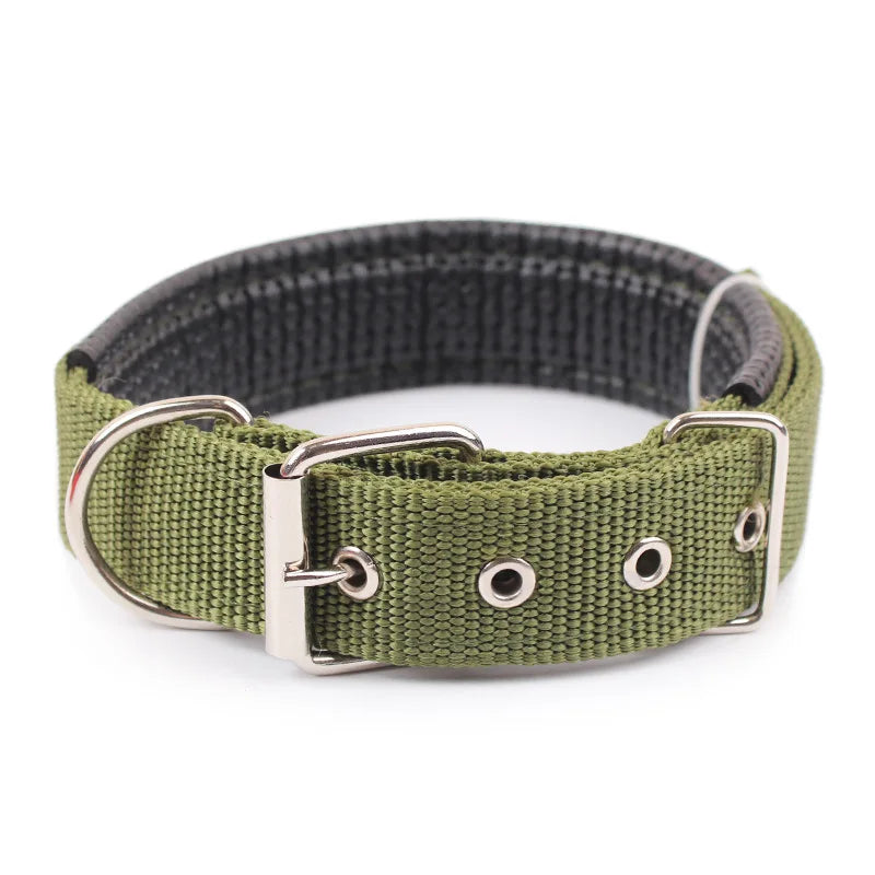 Solid Nylon Dog Collar