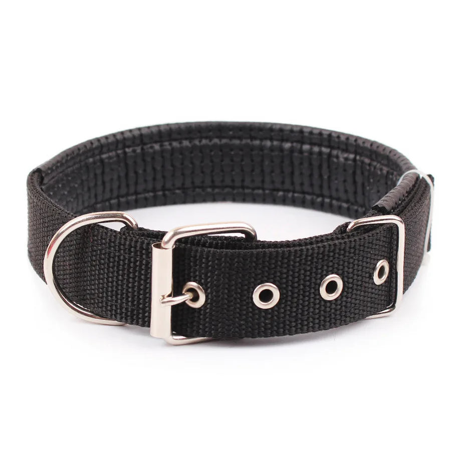 Solid Nylon Dog Collar