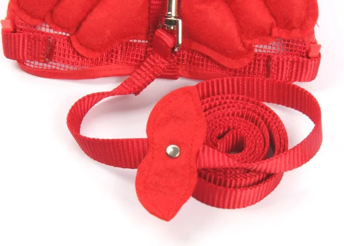 Angel Wing Dog Harness & Leash Set