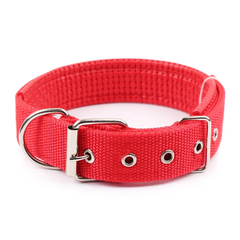 Solid Nylon Dog Collar