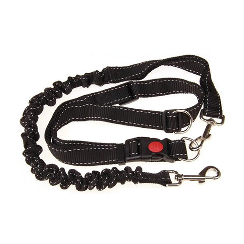 Handsfree Retractable Dog Leash for dogs