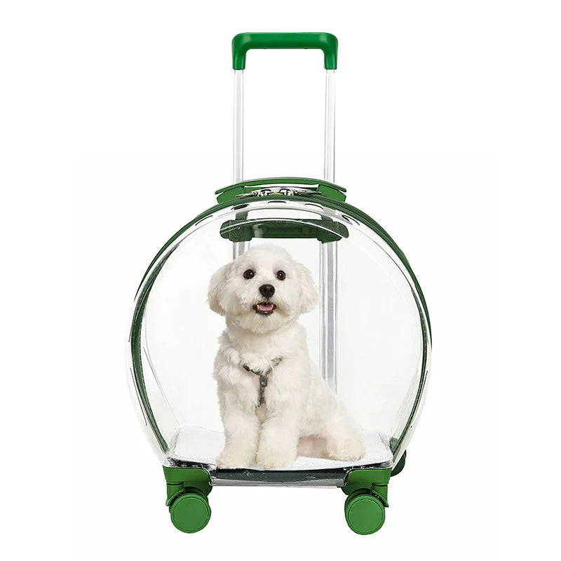 Portable Transparent Trolley Case