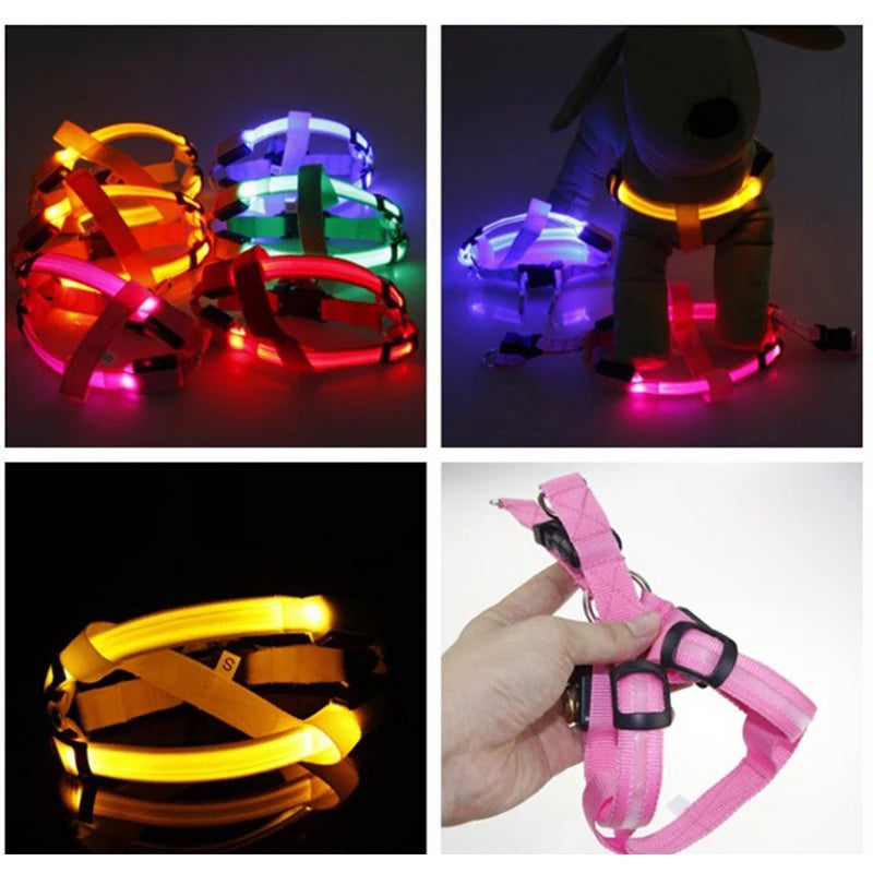 Night Light Up Luminous Dog Harness