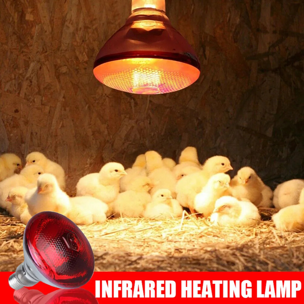 250w Infrared Heat Bulb