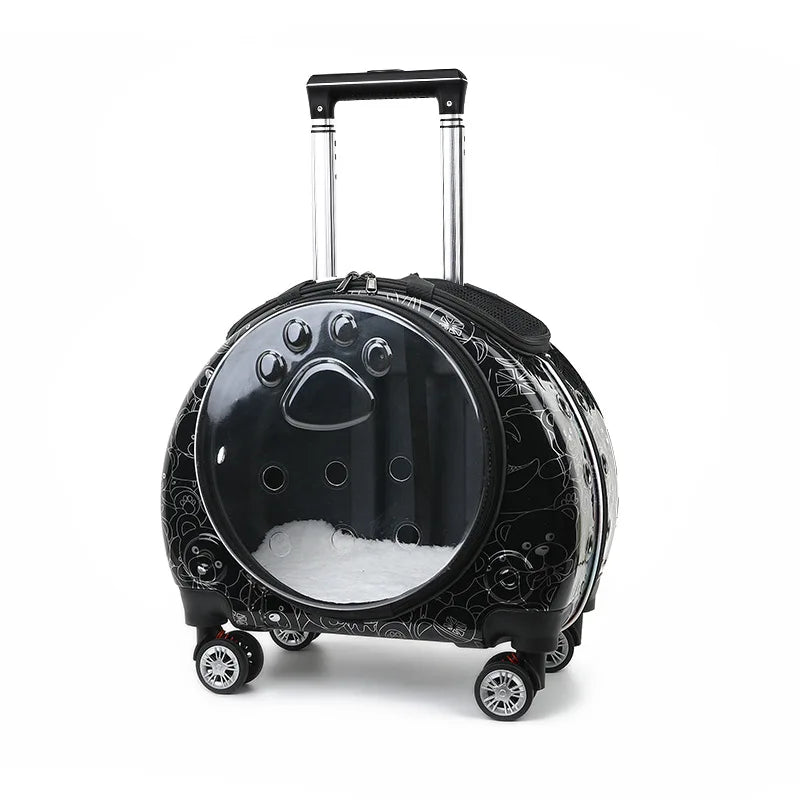 Portable Transparent Trolley Case