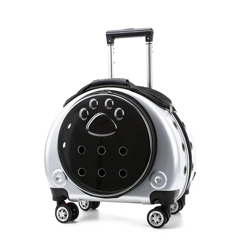 Portable Transparent Trolley Case