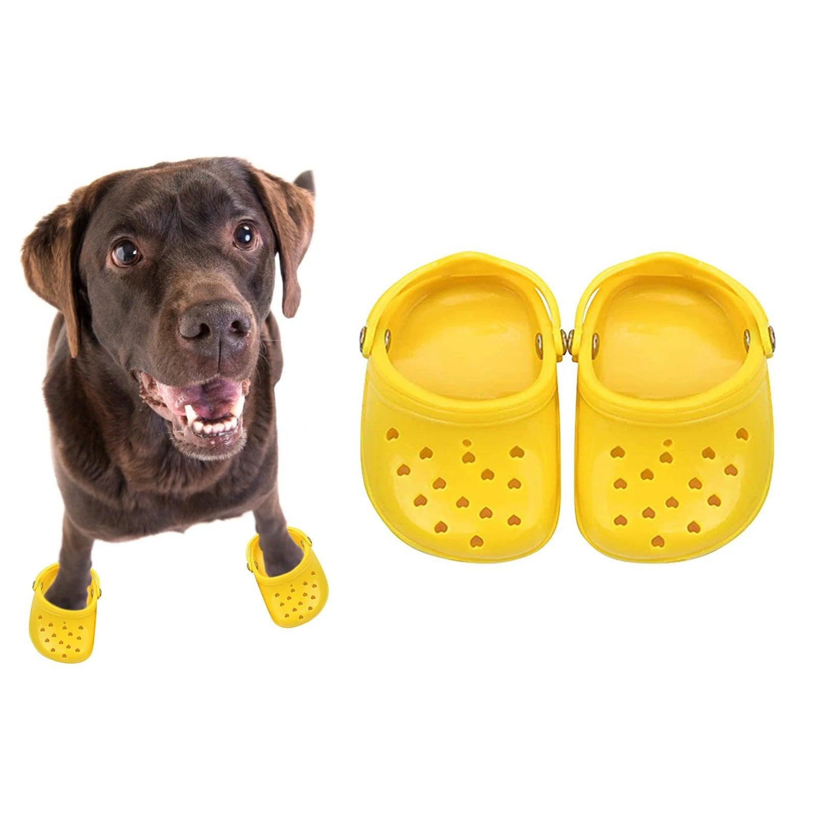 Colourful Dog Crocs