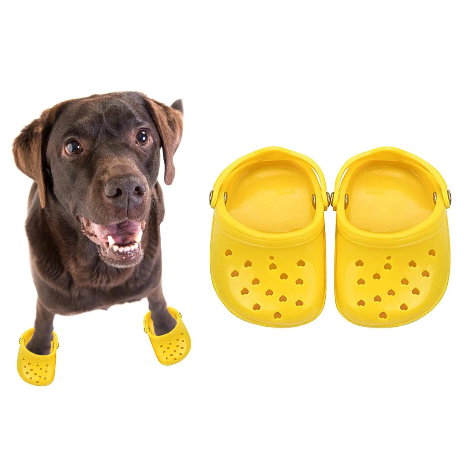 Colourful Dog Crocs RPBA Shop Australia