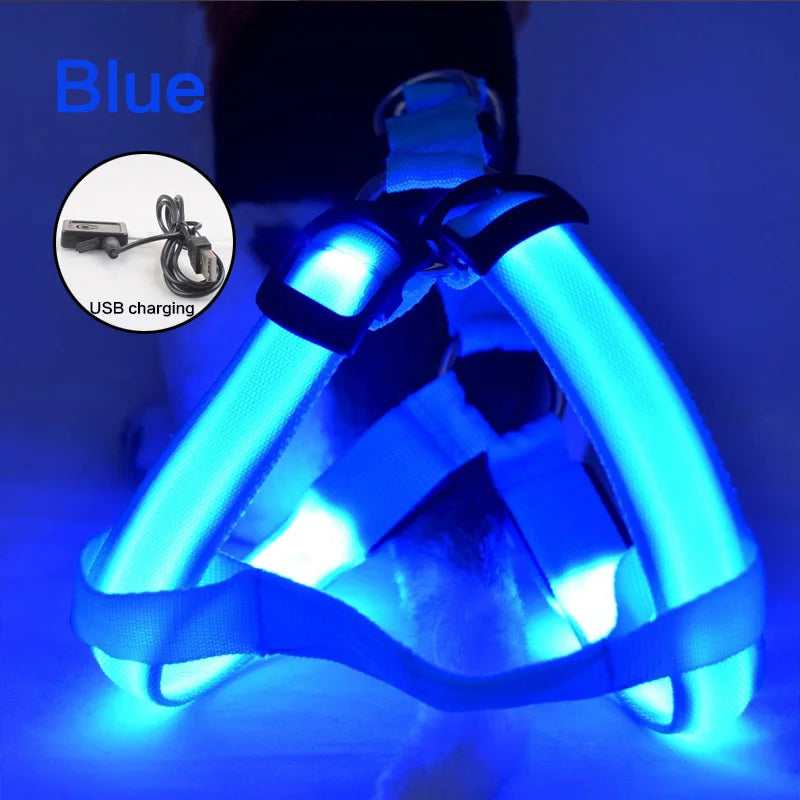 Night Light Up Luminous Dog Harness