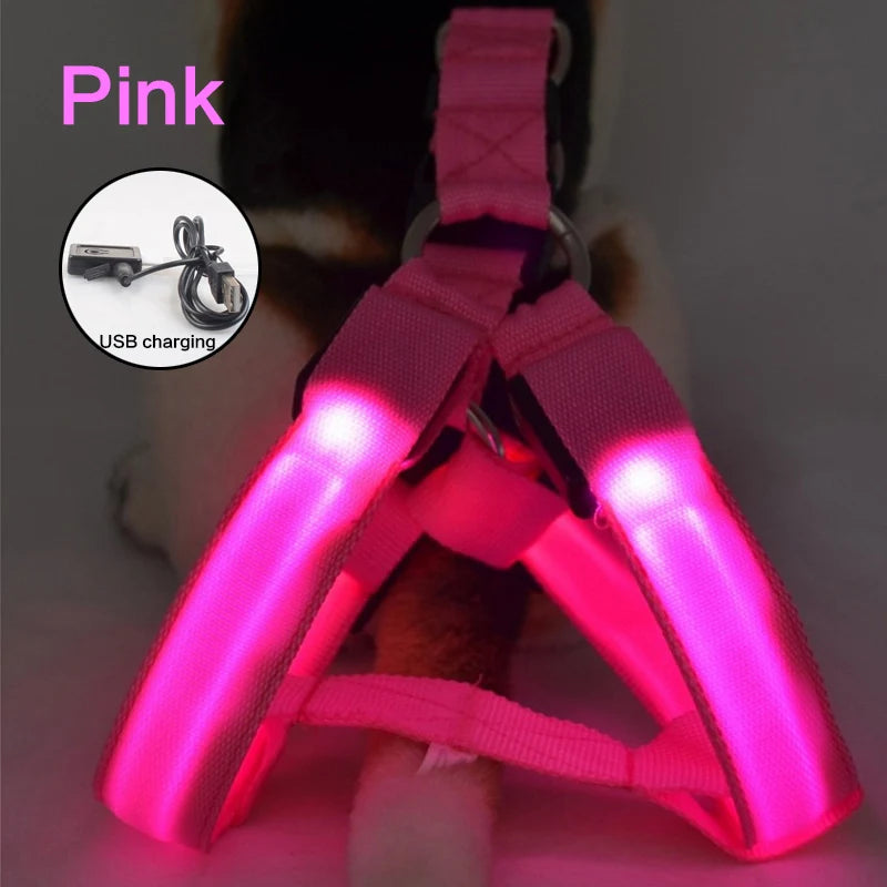 Night Light Up Luminous Dog Harness