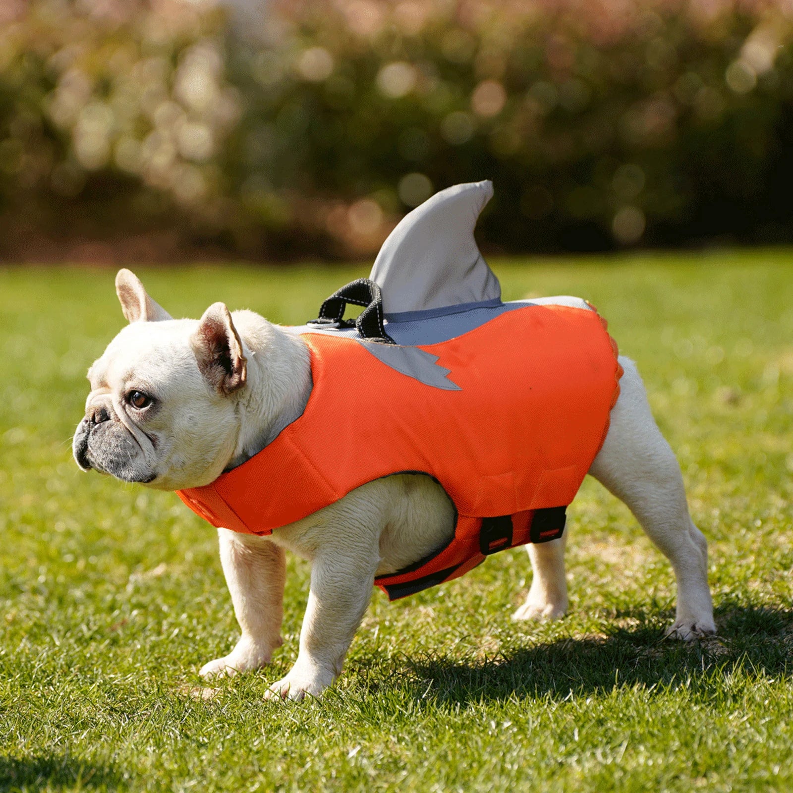 Summer Dog Life Jacket