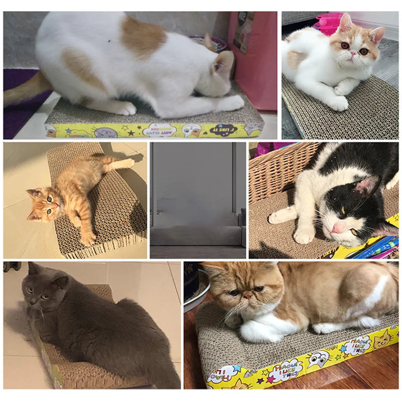 Corrugated Cat Scratching Board and Bed