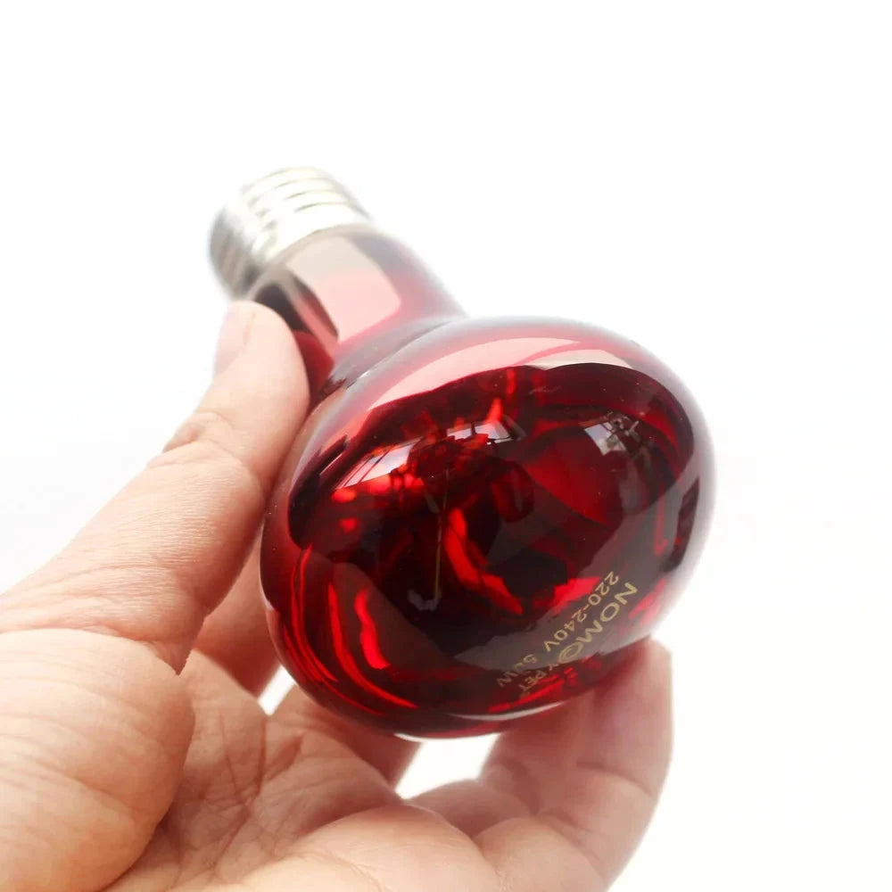 Infrared Heat Lamp Bulb