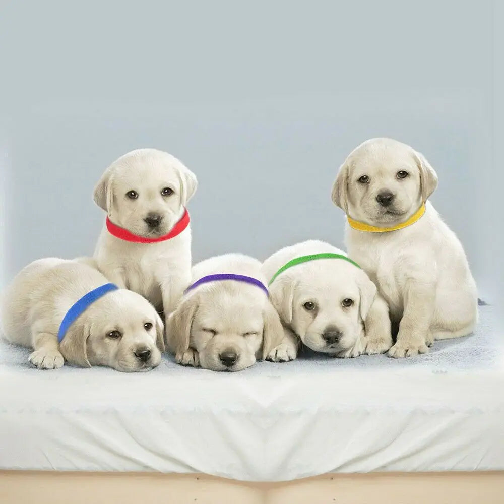 Pet ID Collars Reusable Whelping Kit